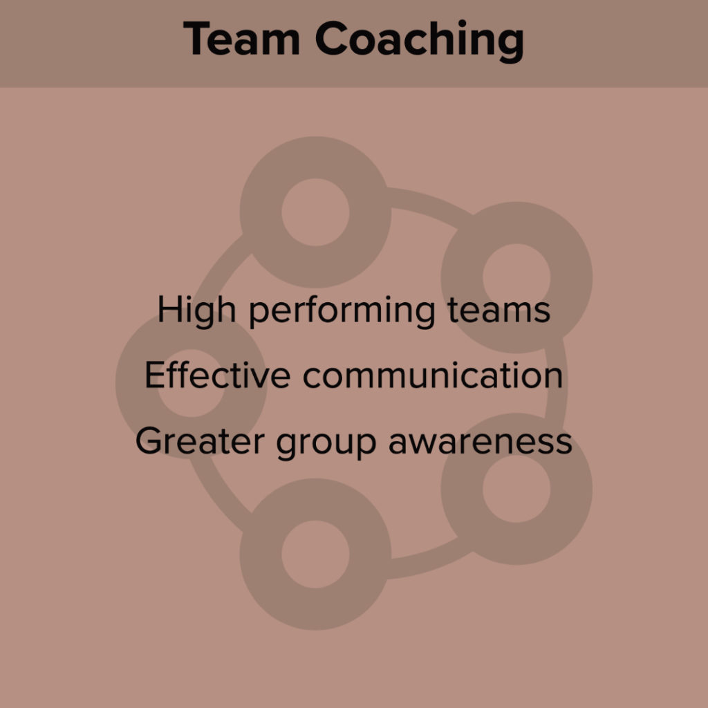 Team Coaching: team performance, effective communication, awareness.